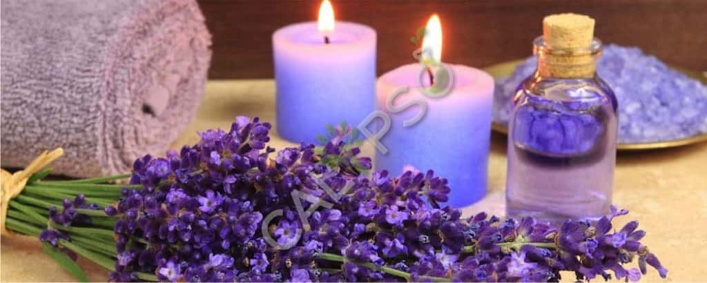 Comprar aceite esencial de lavanda